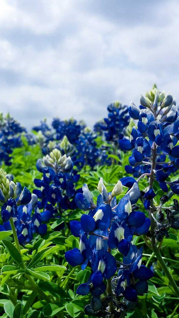 A bright outdoor moment shared on TikTalk